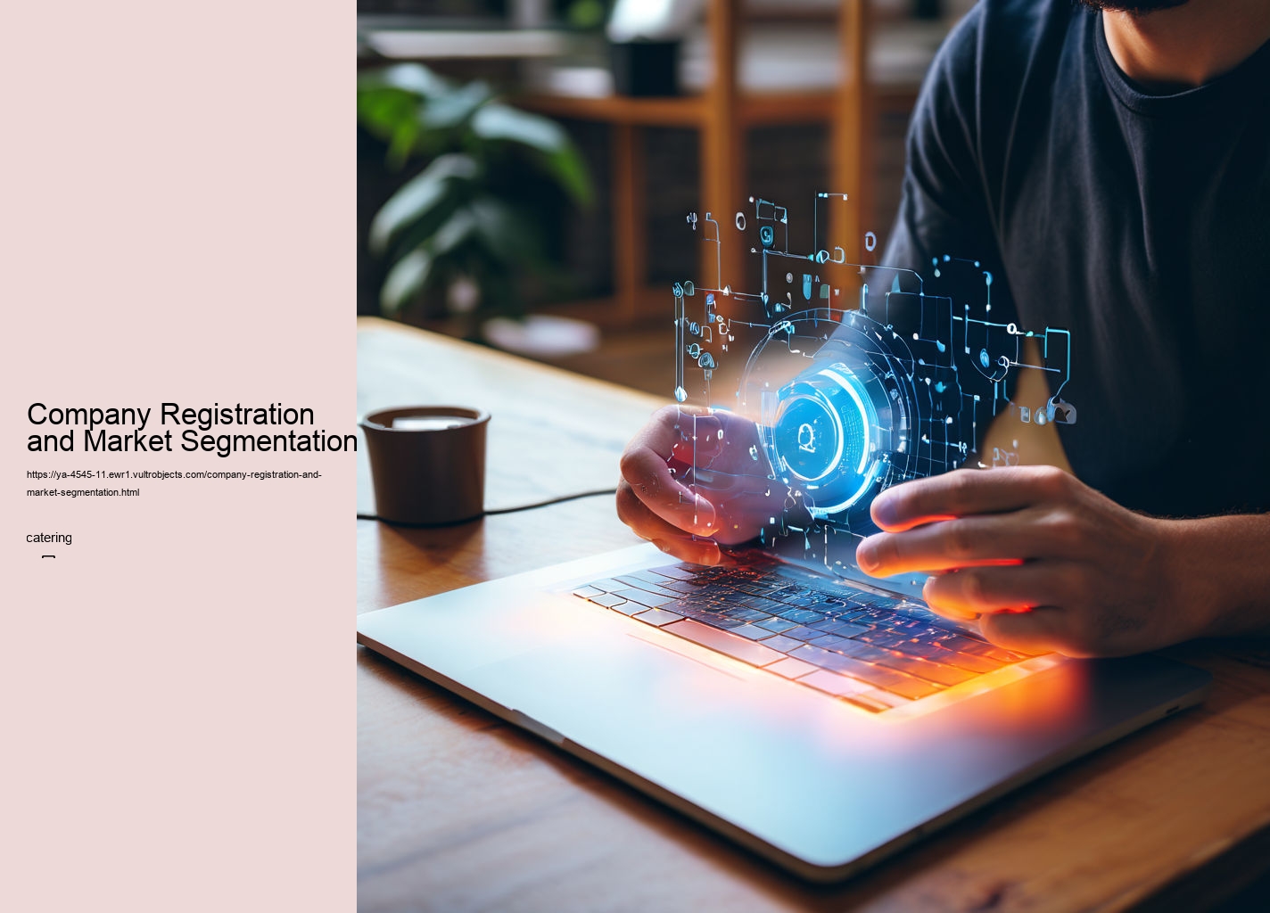 Company Registration and Market Segmentation