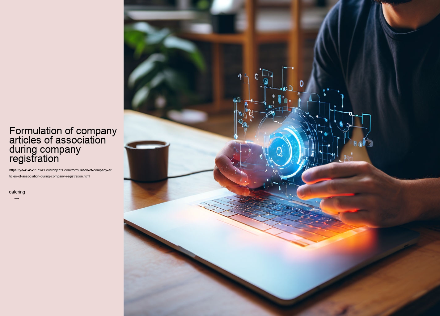 Formulation of company articles of association during company registration